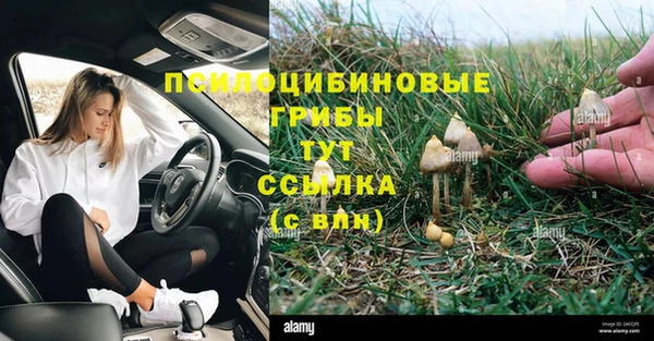 мескалин Верея
