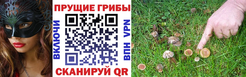 Купить закладки  Кудымкар  Галлюциногенные грибы Psilocybine cubensis 